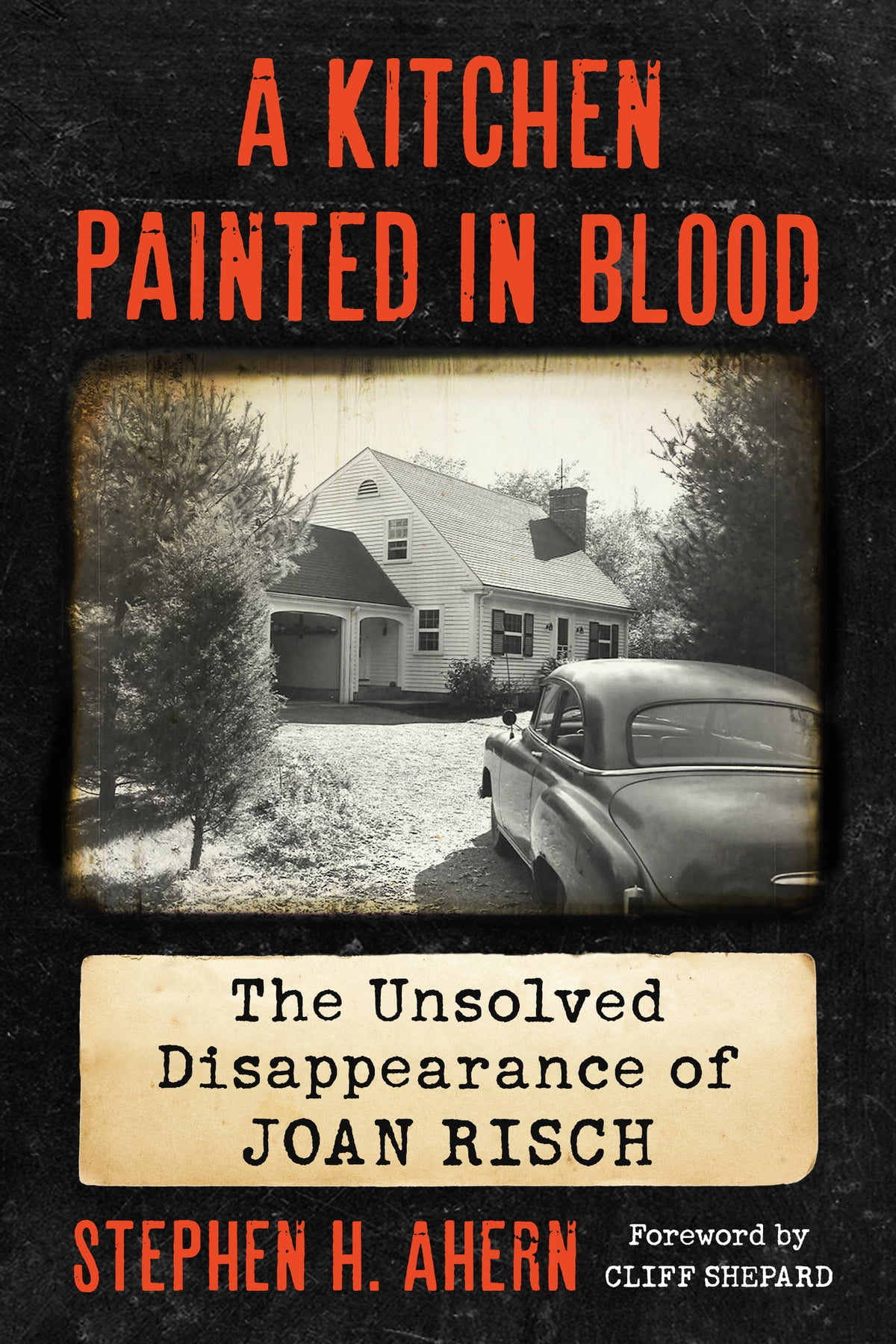 The Mysterious Disappearance of Joan Risch w/ Stephen Ahern – A True ...